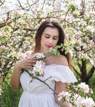 Spring concept. Nature. Young caucasian woman in white summer dress enjoying the flowering of an apple trees, walking in spring apple gardens