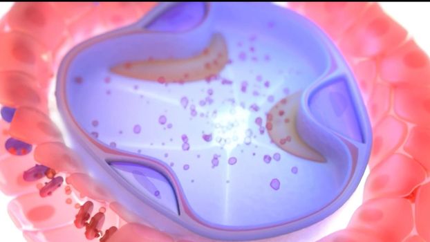 As it moves through blood vessels (capillaries) in the alveoli walls, your blood takes the oxygen from the alveoli and gives off carbon dioxide to the alveoli