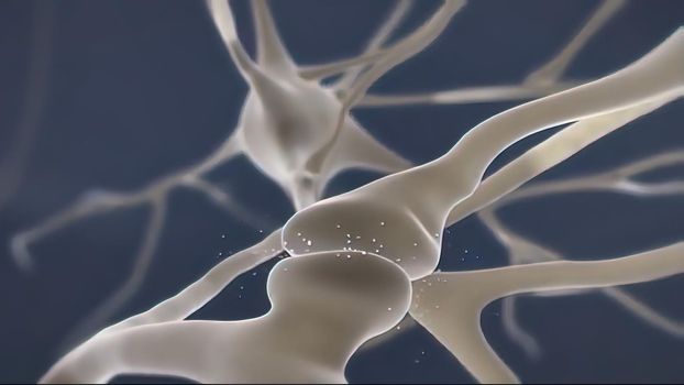 Brain cell synapse showing chemical messengers or neurotransmitters released 3d illustration
