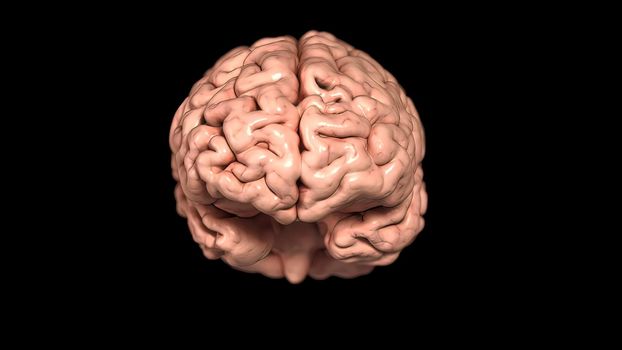 Rotating brain anatomy on black background. 3D medical illustration .