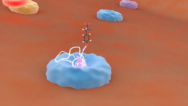 Receptors, transport of monoclonal antibodies across the blood-brain barrier 3D medical illustration