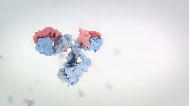 Antibodies are proteins produced by the immune system to fight infections. 3D Render