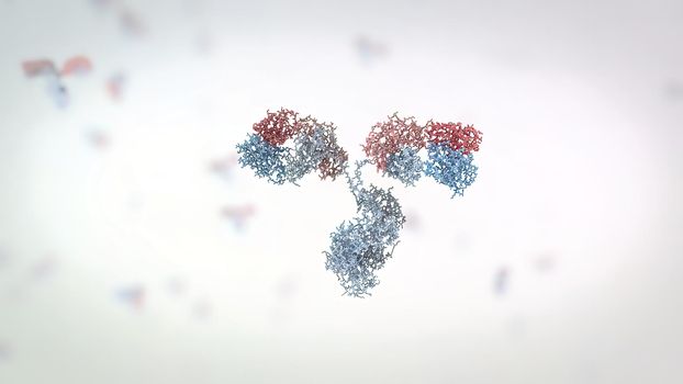 Antibodies are proteins produced by the immune system to fight infections. 3D Render