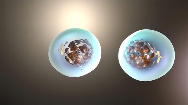 Mitosis, a process of cell duplication, or reproduction, during which one cell gives rise to two genetically identical daughter cells. 3D illustration