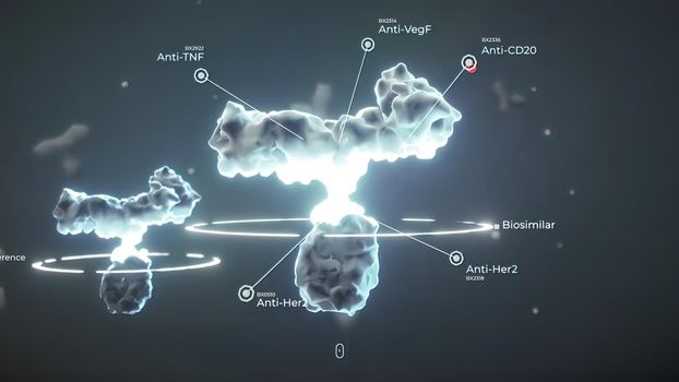 Antibodies are proteins made by the immune system to fight infections such as viruses and can help prevent the same infections from occurring in the future. 3D Render