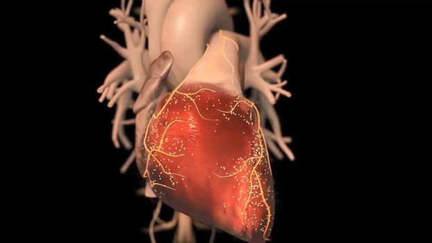 It means respiratory failure due to heart failure, edema, growth in the liver and obvious disease. 3D illustration