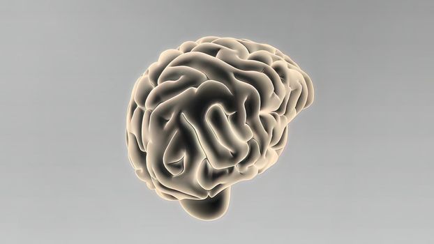 Medical 3D illustration of human brain 3d illustration