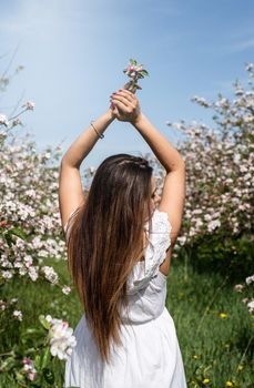 Spring concept. Nature. Young caucasian woman in white summer dress enjoying the flowering of an apple trees, walking in spring apple gardens