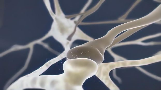 Brain cell synapse showing chemical messengers or neurotransmitters released 3d illustration