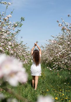 Spring concept. Nature. Young caucasian woman in white summer dress enjoying the flowering of an apple trees, walking in spring apple gardens