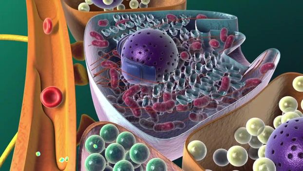 Amyloid precursor protein (APP) cleavage, 3d illustration. APP (blue) is shown with two enzyme molecules: gamma and beta secretase (purple). At centre, the enzymes have bound to APP, causing the molecule to separate into four fragments, one of which moves from the membrane to the foreground. It is this fragment that is the beta 3D illustration peptide that is implicated in conditions such as Alzheimer's disease. APP is a complex protein with many functions. It is found on the surface of cells throughout the body.