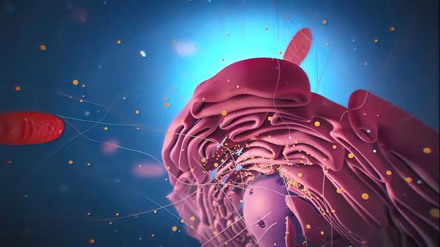 Cell nucleus and Ribosome in the science of biology. 3d illustration