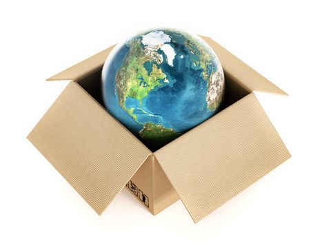 Globe inside the cardboard box.