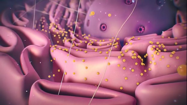Cell nucleus and Ribosome in the science of biology. 3d illustration