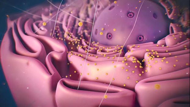 Cell nucleus and Ribosome in the science of biology. 3d illustration