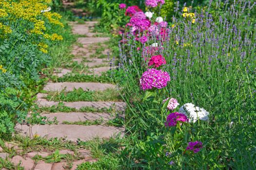 Colorful nature landscape with stone road