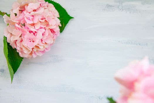 Soft tender shabby chic romantic Background