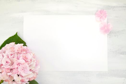 Soft tender shabby chic romantic Background