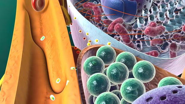 Amyloid Precursor Protein Cleavage, 3d medical illustration .