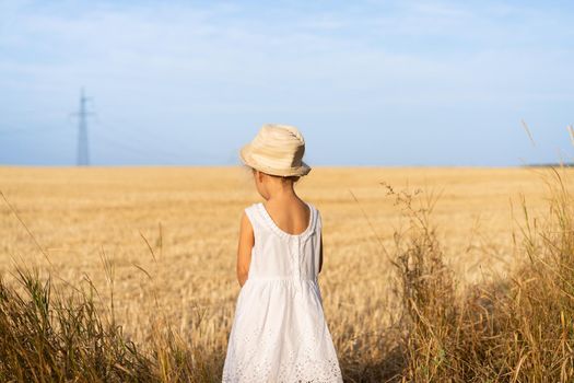 Little girl standing yellow wheat field dressed white dress and straw hat. Blue sky on background. Back view female child walking outdoors agricultural field. Fashion photo