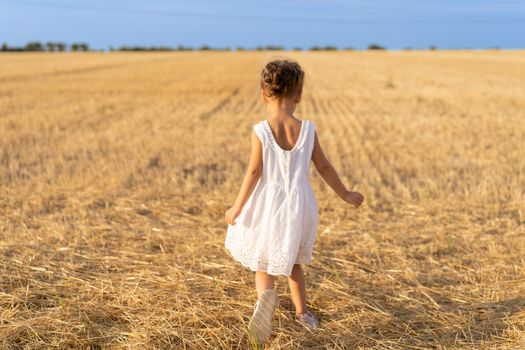 Little girl dressed white dress walking wheat field summer day rear view. Caucasian female child running agricultural field freedom concept Back view