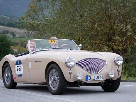 CAGLI , ITALY - OTT 24 - 2020 : AUSTIN HEAL 100/4 BN1 on an old racing car in rally Mille Miglia 2020 the famous italian historical race (1927-1957)