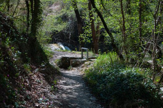 natural steam water falls hauy mae kamin in natural steam water falls hauy mae kamin in deep forest cicingioli at marche regio italy