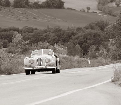 CAGLI , ITALY - OTT 24 - 2020 : JAGUAR XK 140 OTS SE 1954 on an old racing car in rally Mille Miglia 2020 the famous italian historical race (1927-1957