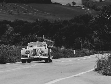 CAGLI , ITALY - OTT 24 - 2020 : JAGUAR XK 140 OTS SE 1954 on an old racing car in rally Mille Miglia 2020 the famous italian historical race (1927-1957