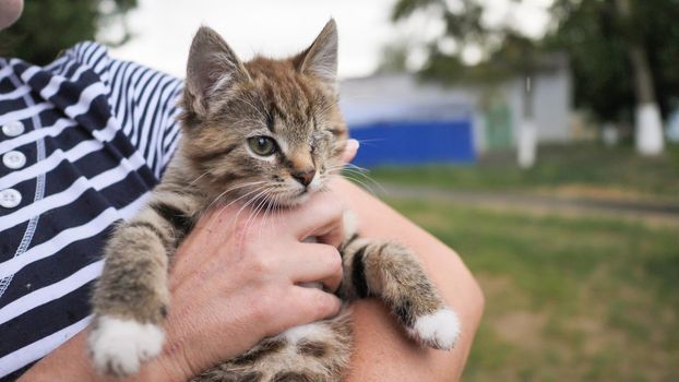 A small brown one-eyed kitten disabled sits in the arms of a woman