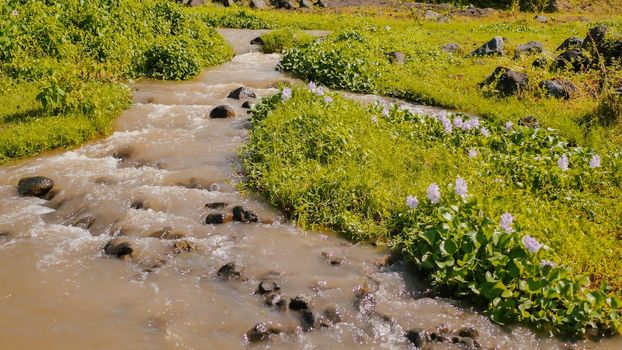 The mountain volcanic river originating from the Mayon volcano. Legazpi. Philippines