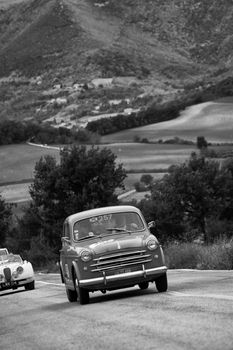 CAGLI , ITALY - OTT 24 - 2020 : FIAT 1100 103 on an old racing car in rally Mille Miglia 2020 the famous italian historical race (1927-1957)