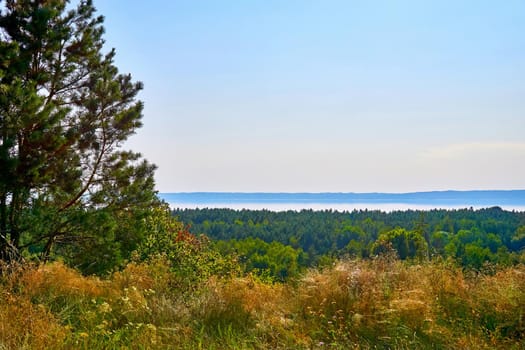 a large natural stream of water flowing in a channel to the sea, a lake, or another such stream.