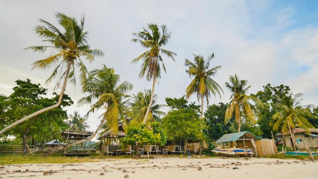 Filipino village with palm trees. Beach. Bohol Island. Philippines