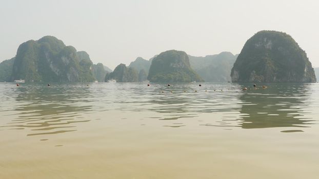 Mountain Ha Long Bay. North Vietnam. Nature asia