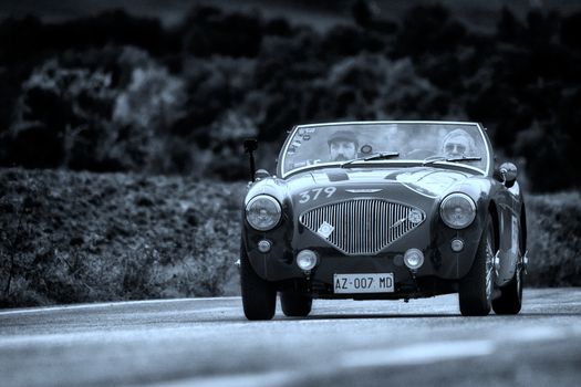 CAGLI , ITALY - OTT 24 - 2020 : AUSTIN HEALEY 100/4 BN2 1956 on an old racing car in rally Mille Miglia 2020 the famous italian historical race (1927-1957)