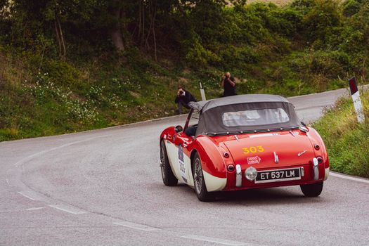 CAGLI , ITALY - OTT 24 - 2020: AUSTIN HEALEY 100/6 1957 an old racing car in rally Mille Miglia 2020 the famous italian historical race