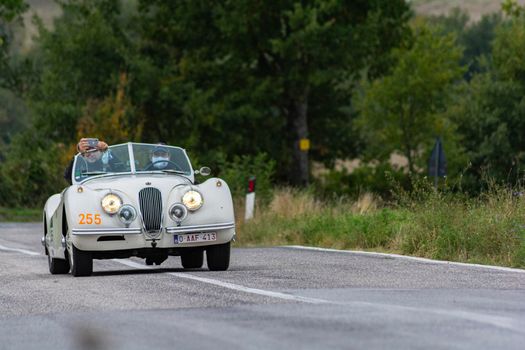 CAGLI , ITALY - OTT 24 - 2020 : JAGUAR XK 120 SE OTS 1954 on an old racing car in rally Mille Miglia 2020 the famous italian historical race (1927-1957