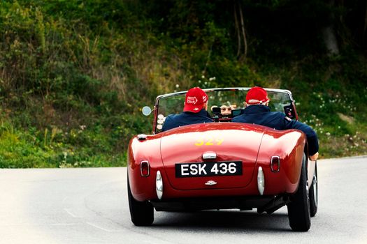 CAGLI , ITALY - OTT 24 - 2020 : AC ACE 1955 an old racing car in rally Mille Miglia 2020 the famous italian historical race