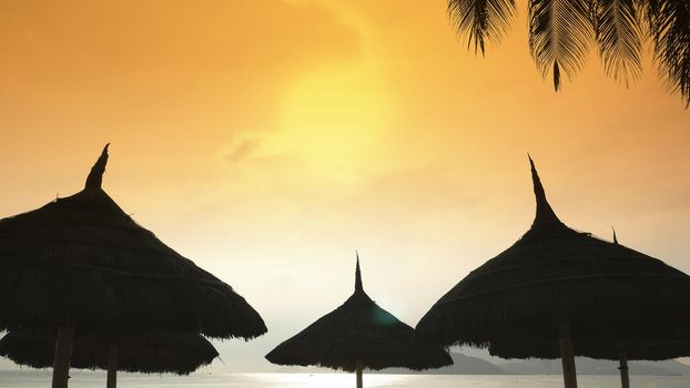 Silhouettes of beach chairs in the evening sky in Vietnam with palm trees. View of umbrellas from a creek on the beach during sunset