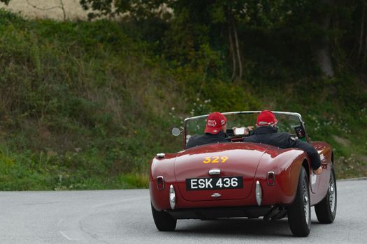 CAGLI , ITALY - OTT 24 - 2020 : AC ACE 1955 an old racing car in rally Mille Miglia 2020 the famous italian historical race