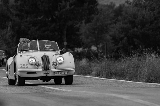 CAGLI , ITALY - OTT 24 - 2020 : JAGUAR XK 120 SE OTS 1954 on an old racing car in rally Mille Miglia 2020 the famous italian historical race (1927-1957