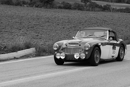 CAGLI , ITALY - OTT 24 - 2020: AUSTIN HEALEY 100/6 1957 an old racing car in rally Mille Miglia 2020 the famous italian historical race