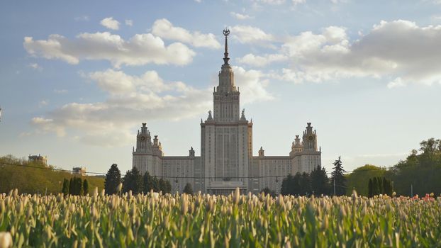 Lomonosov State University, iconic building and sightseeing in Moscow, Russia. Shooting against a background of multi-colored tulips at sunset Shooting in a gentle and beautiful movement.