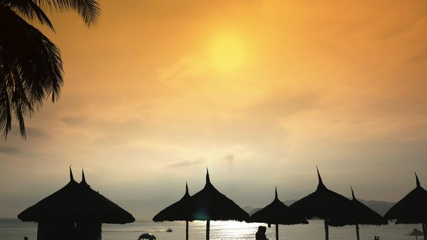 Silhouettes of beach chairs in the evening sky in Vietnam with palm trees. View of umbrellas from a creek on the beach during sunset