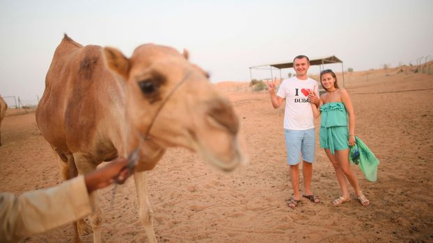 Girl and the guy with camel. Desert in Abu Dhabi, United Arab Emirates