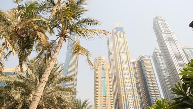Residential skyscrapers with apartments against the backdrop of palm trees in Dubai. UAE
