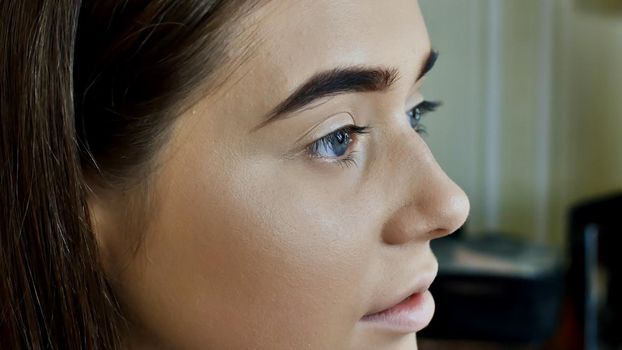 Eyebrows Care. Closeup Of Woman Beautiful Blue Eye, Perfect Shaped Brow, Long Eyelashes With Professional Makeup And Brow Gel Brush. Young Female Model Shaping Brown Eyebrows. High Resolution Image.