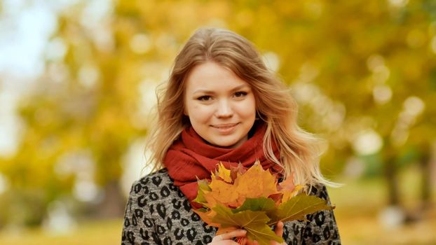 A young girl joyfully posing on the camera with a bouquet of colorful leaves. Walk in the city park in the autumn