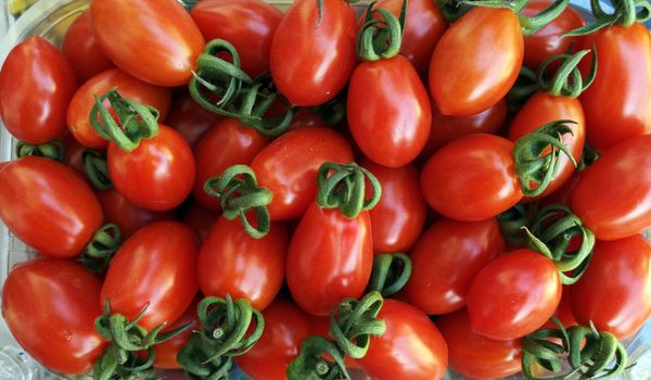 Plum red tomatoes as background